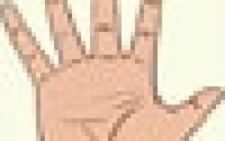 Фикус али фикус биннендийка