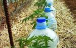 Капельный полив для комнатных растений своими руками из пластиковых бутылок