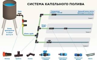 Капельный полив своими руками для дачи без затрат сделай