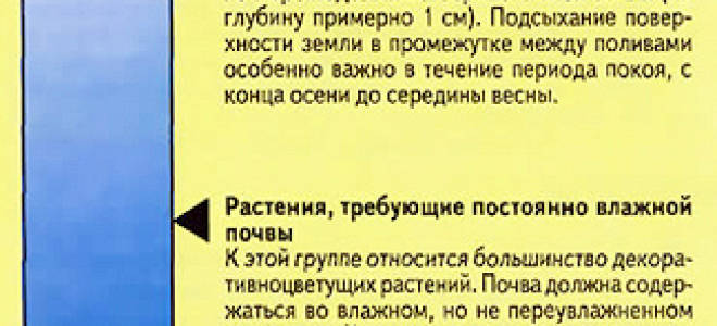 Почему при поливе цветов вода стекает сразу в поддон?