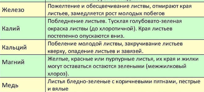 Что обрабатывают железным купоросом?