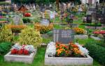 Какие растения сажают на кладбище?