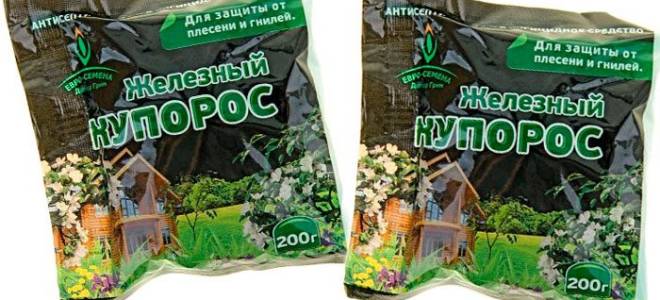 Что осенью обрабатывают железным купоросом?